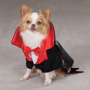 Canine Dogicula Halloween Costume For Pets