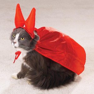 Halloween Evil One Cat Costume